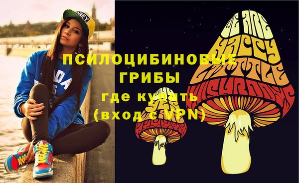 гидра Беломорск