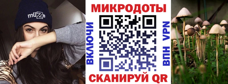Псилоцибиновые грибы Psilocybe  даркнет сайт  Завитинск 