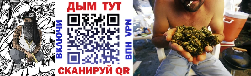 Бошки марихуана сатива  Завитинск 